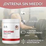 Creatine Monohydrate for Women